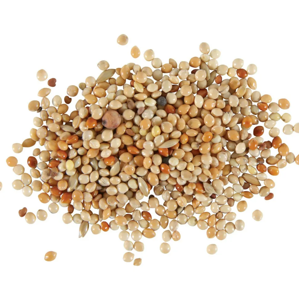 ZOLUX - Graines alimentation oiseaux exotique nutrimeal, 800g.
