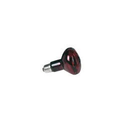 ZOO MED - 100 w zoo med lampe spot infrarouge reptile