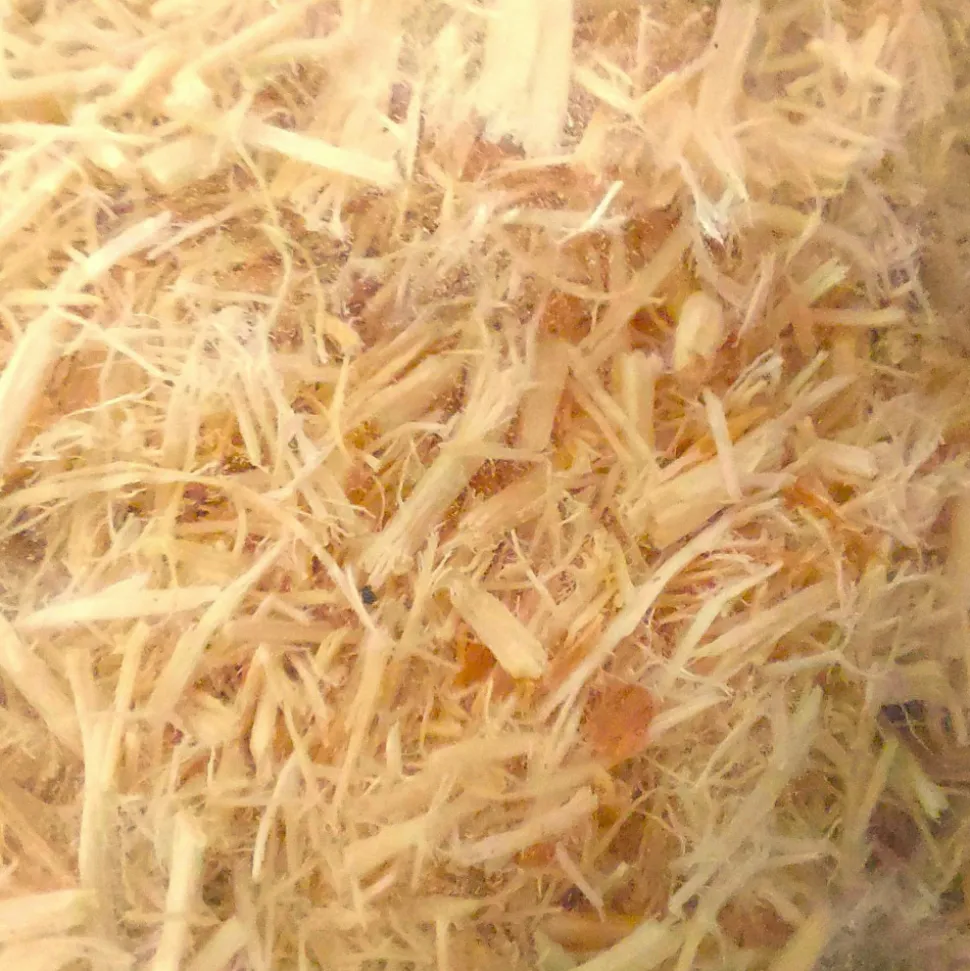 ZOOMED - Substrat spécial serpent - aspen snake bedding 26.4 litres idéal pour terrarium ou boîte d'élevage